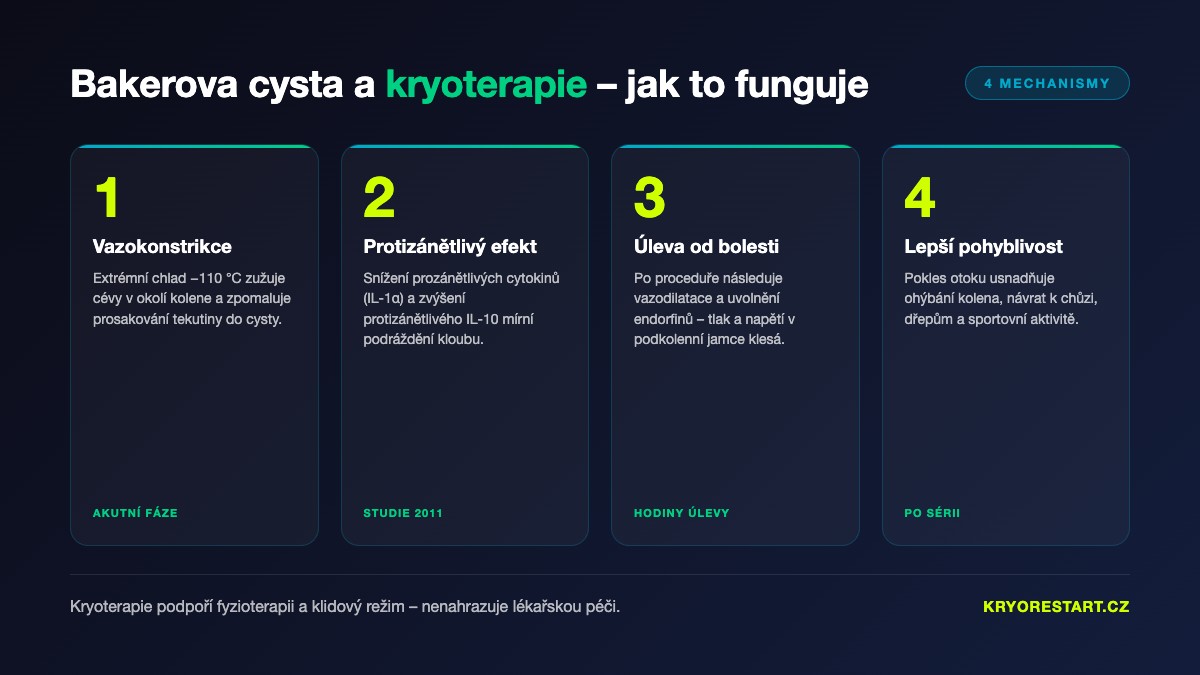 Mechanismy účinku kryoterapie u Bakerovy cysty: vazokonstrikce, protizánětlivý efekt, úleva od bolesti, lepší pohyblivost