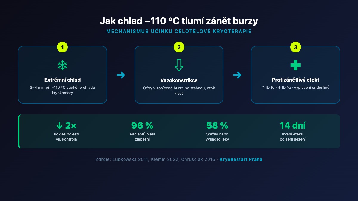 Mechanismus účinku kryoterapie na zánět burzy – schéma chladu, vazokonstrikce a snížení otoku