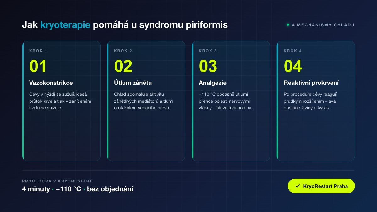 Jak kryoterapie pomáhá u syndromu piriformis – 4 mechanismy chladu (vazokonstrikce, útlum zánětu, analgezie, reaktivní prokrvení)