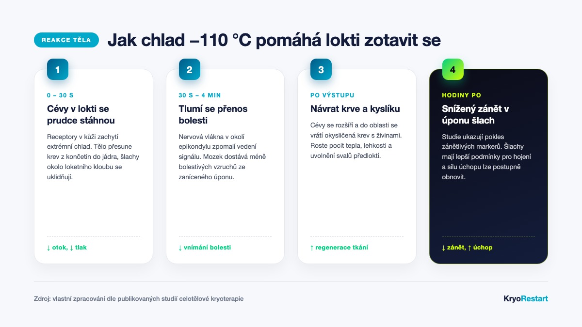 Fáze působení celotělové kryoterapie na zánět šlach v okolí loktu