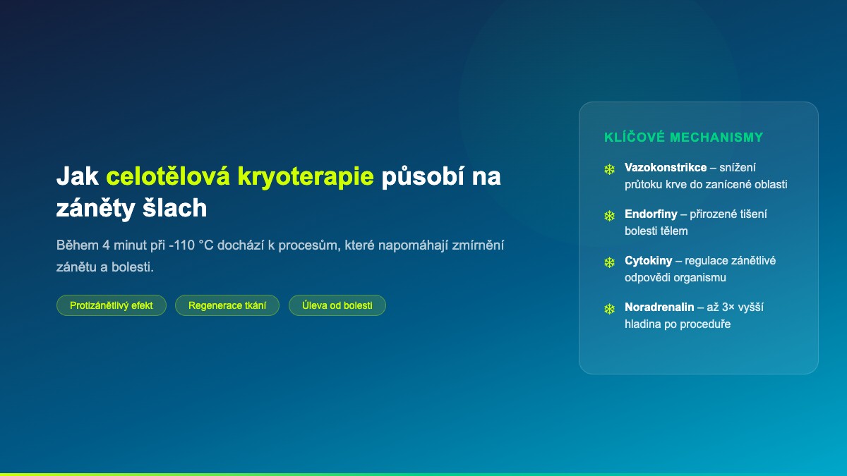 Jak celotělová kryoterapie působí na záněty šlach – klíčové mechanismy včetně vazokonstrikce, endorfinů a regulace cytokinů