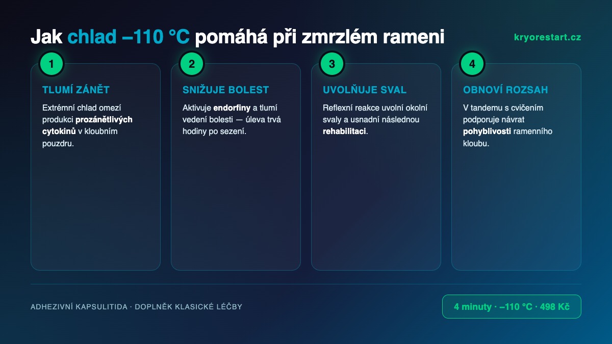 Jak chlad −110 °C pomáhá při zmrzlém rameni: 4 mechanismy účinku celotělové kryoterapie
