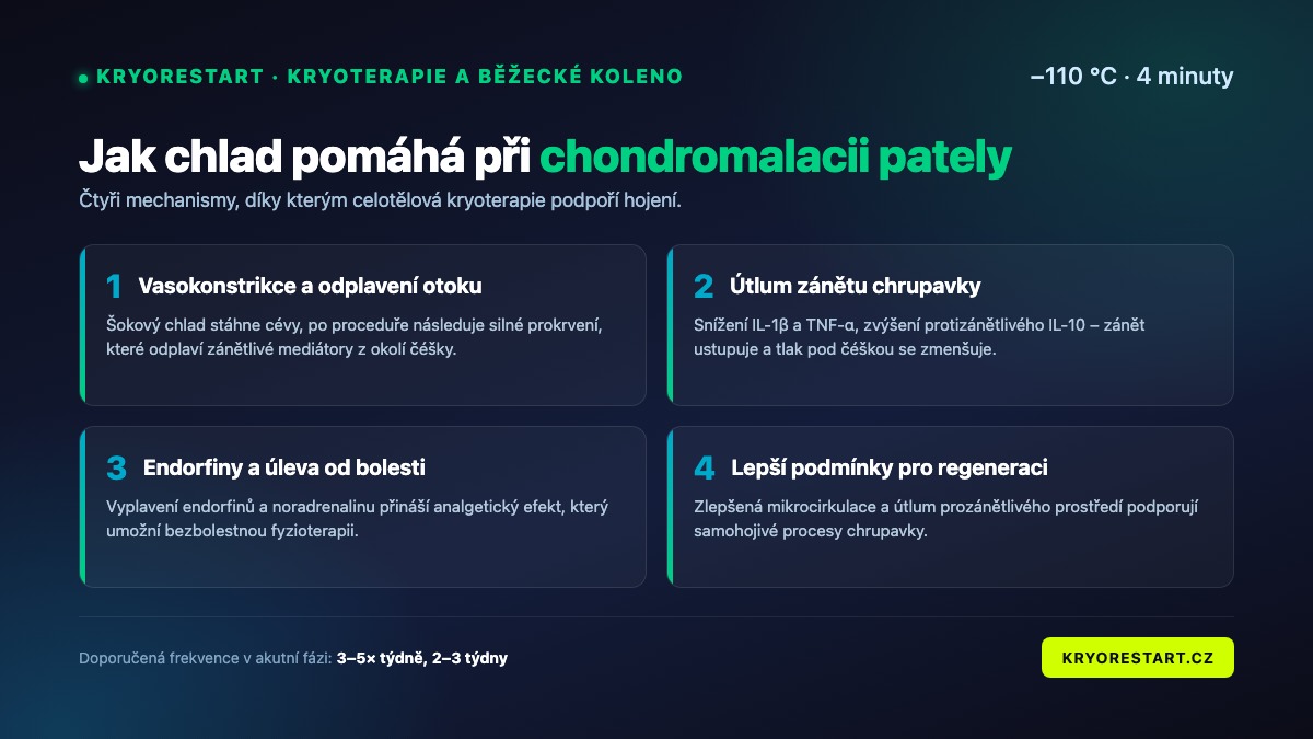 Jak chlad pomáhá při chondromalacii pately – 4 mechanismy účinku kryoterapie