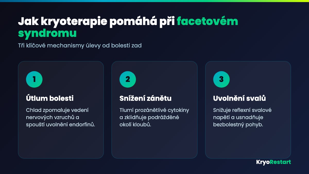 Jak kryoterapie pomáhá při facetovém syndromu – útlum bolesti, snížení zánětu a uvolnění svalů
