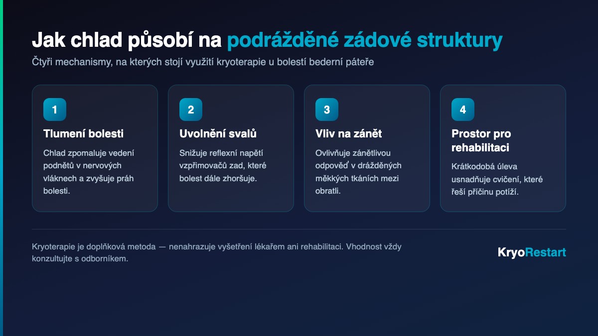 Mechanismy účinku kryoterapie na bolest bederní páteře u Baastrupova syndromu