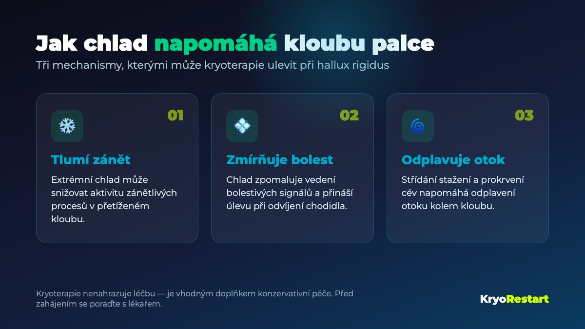 Kryoterapie a hallux rigidus – tři způsoby, jak chlad napomáhá kloubu palce: tlumí zánět, zmírňuje bolest, odplavuje otok
