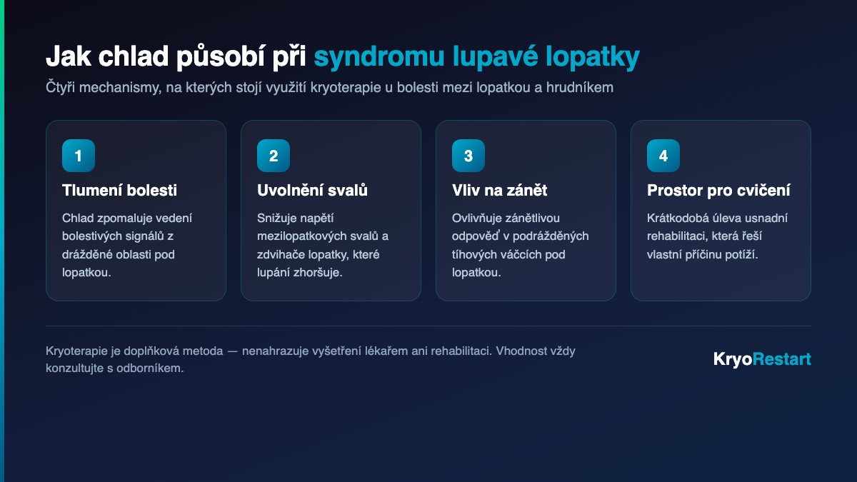 Mechanismy účinku kryoterapie při syndromu lupavé lopatky – tlumení bolesti, uvolnění svalů, vliv na zánět, prostor pro cvičení