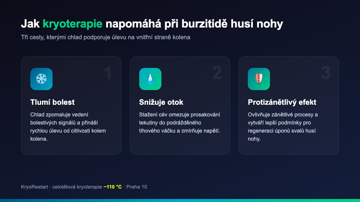 Mechanismy účinku kryoterapie při burzitidě husí nohy – tlumení bolesti, snížení otoku, protizánětlivý efekt
