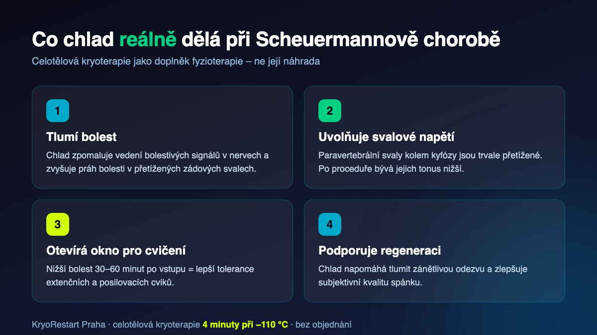 Celotělová kryoterapie a Scheuermannova choroba – čtyři účinky chladu na bolest zad a svalové napětí